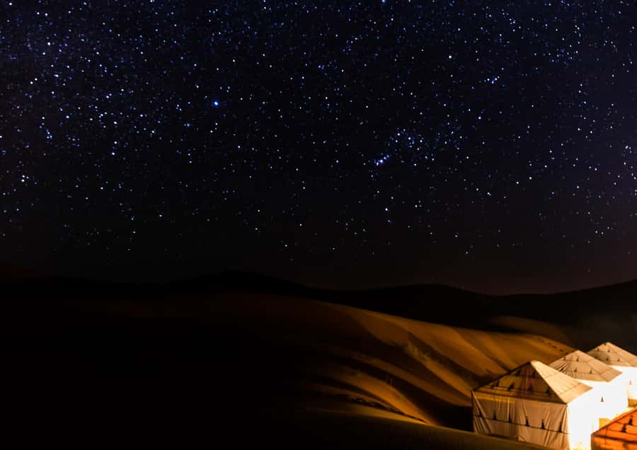 Doha: Night Desert Safari with Stargazing & Camel Ride - Dune bashing after dark