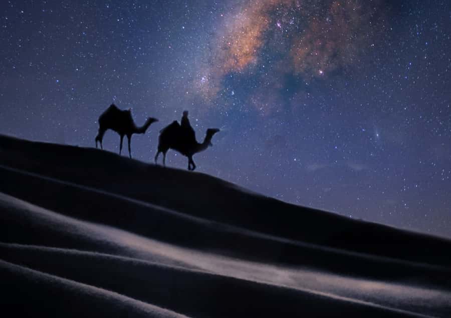 Doha: Night Desert Safari with Stargazing & Camel Ride - Timing, groups, and comfort