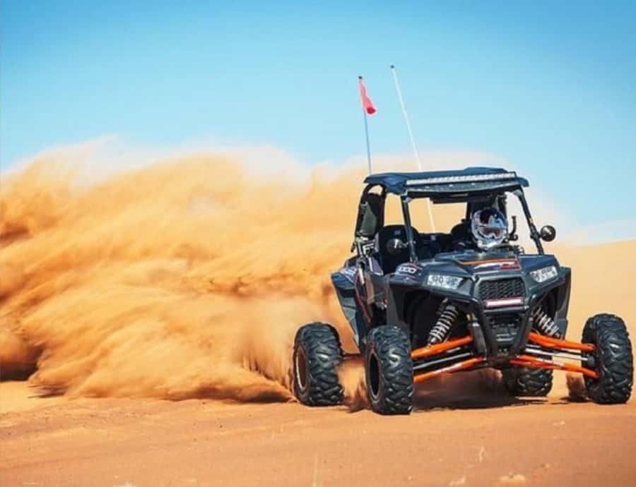 Doha: Night Inland Sea Desert Safari with Full Activities - Private and small-group choices