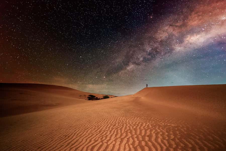 Doha: Nighttime Desert Safari with Dune Bashing & Camel Ride - From Doha to the open desert