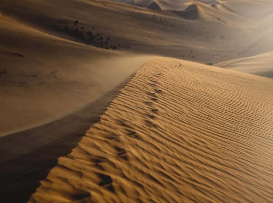 Doha: Nighttime Desert Safari with Dune Bashing & Camel Ride - What the $24 price really buys you