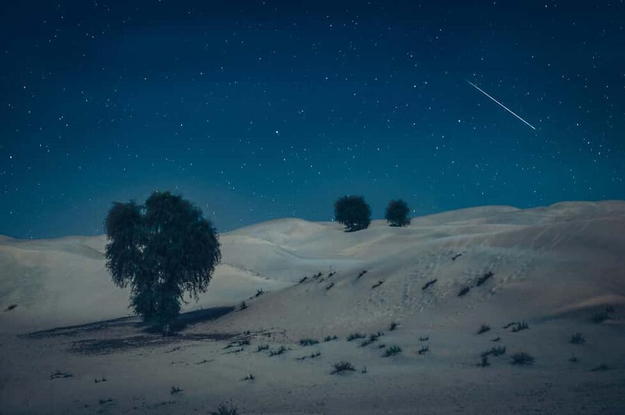 Doha: Overnight Desert Safari with Dinner and Breakfast - Returning to Doha after breakfast