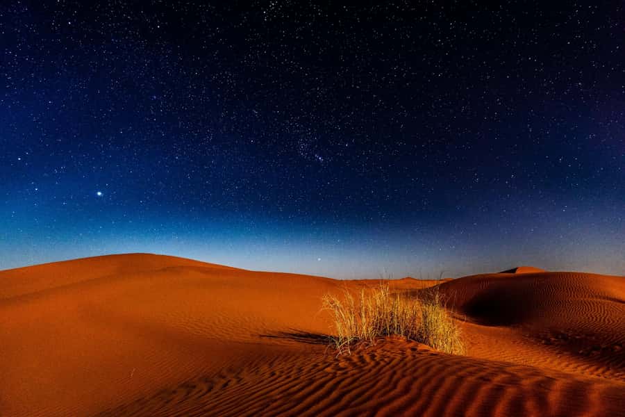 Doha: Private Desert Safari at Night with Stargazing - The Mesaieed stop, tea, and optional camel ride