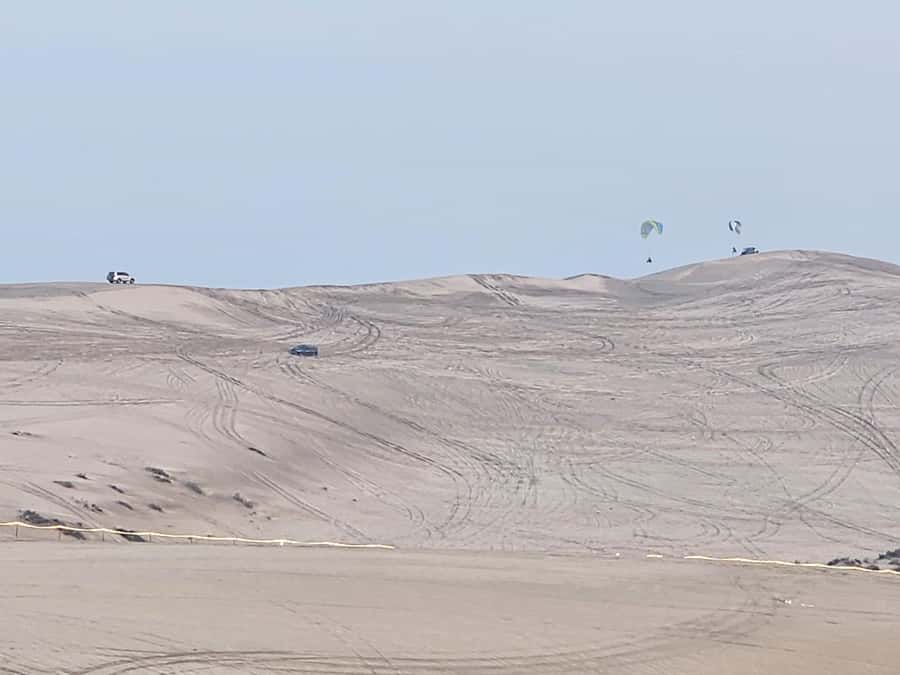 Doha:Private Desert Safari, Falcon, Sandboarding,inland sea - Sandboarding on the open dunes
