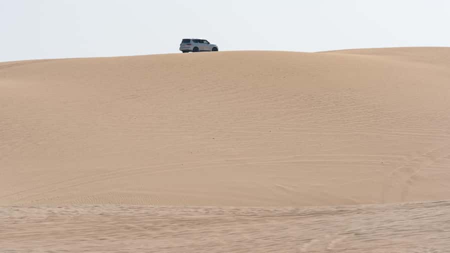 Doha Private Desert Safari, inland sea, sand boarding - Sealine Beach: tea, camels, and a gentle start