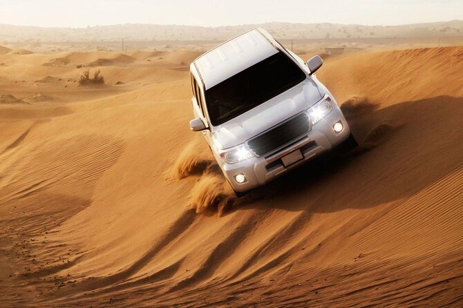 Doha: Private Half Day Desert Safari Tour in Qatar - Should you book this Doha desert safari?
