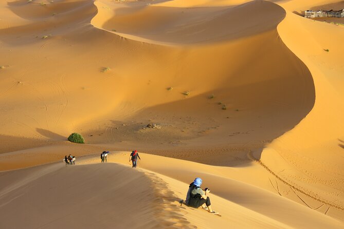 Doha Private Half-Day Guided Desert Safari Tour - Leaving Doha for Qatar’s southern desert