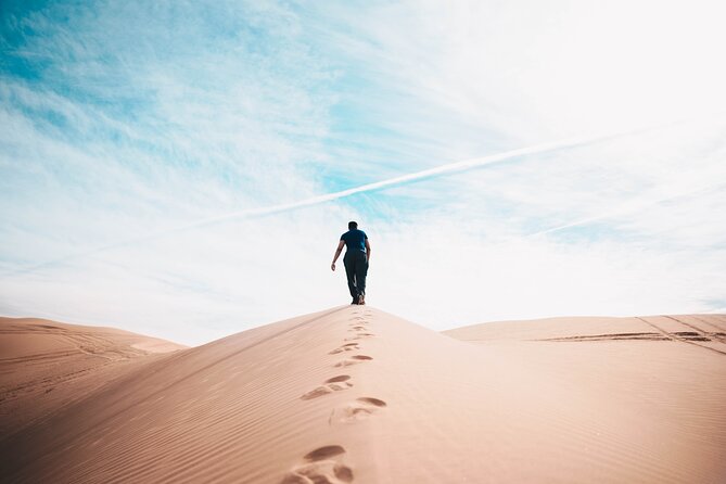 Doha Private Half-Day Guided Desert Safari Tour - What $60 gets you, and what it does not