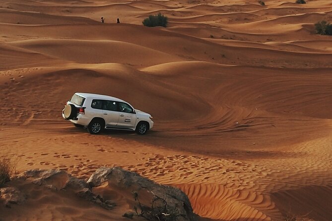 Doha Private Half-Day Guided Desert Safari Tour - Dune bashing across the golden sand