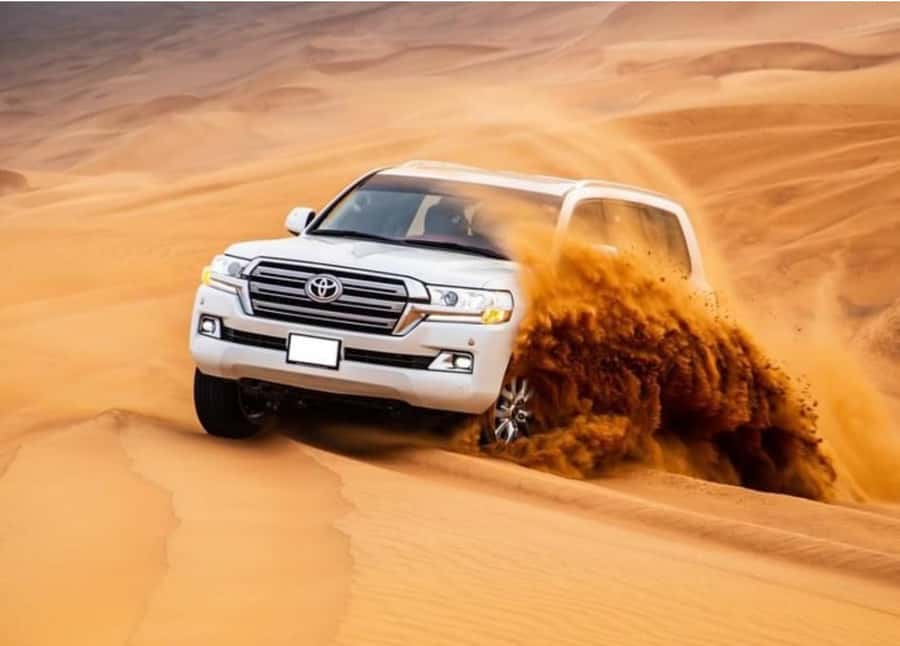 Doha: Relax Desert Safari, Camel Ride, Inland Sea, Swimming - Key points to know before booking
