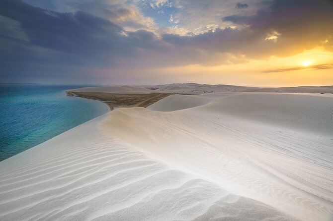 Doha Safari Adventures, Dune Bashing, Sand Buggy, Camel Ride Tour - From Doha to the southern desert in 35 minutes