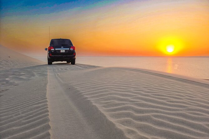 Doha Safari Adventures, Dune Bashing, Sand Buggy, Camel Ride Tour - Camel riding and the slower side of the desert