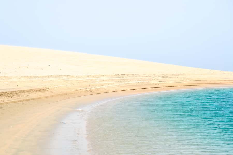 Doha: Safari, ATV, Camels, Sandboarding and Inland Sea Tour - Guides, photography, and the human side of the trip