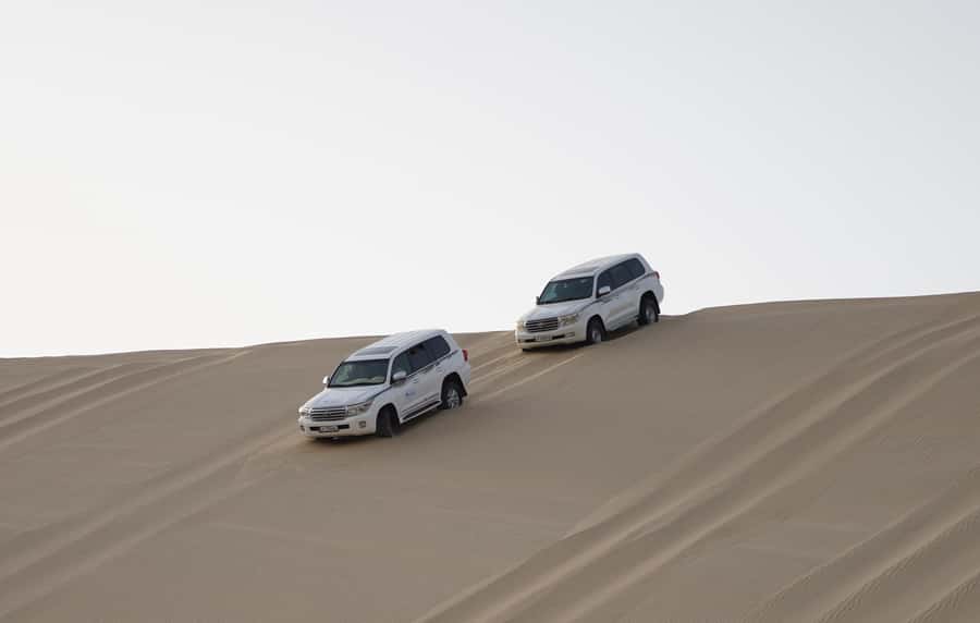Doha: Safari, ATV, Camels, Sandboarding and Inland Sea Tour - What the $32 price really includes