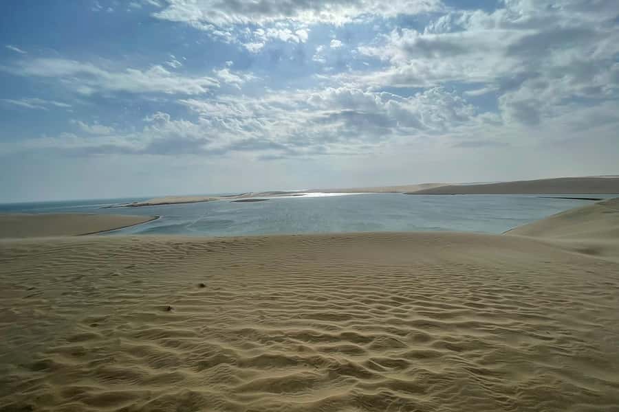 Doha Safari: ATV Ride, Dune Bashing, & Sandboarding Fun - Who should book this desert outing