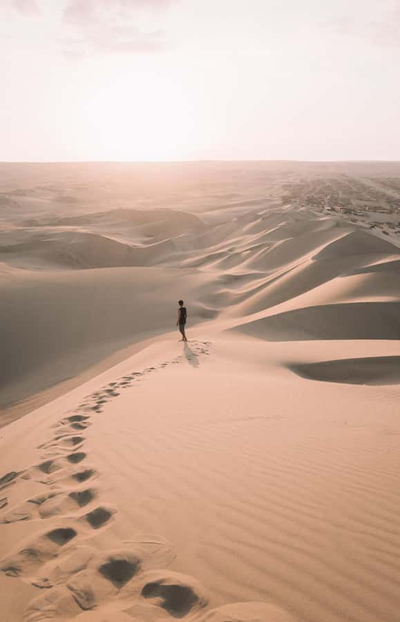Doha: Safari, Camel Ride, Sandboarding and Inland Sea Tour - The Inland Sea, where sand meets water