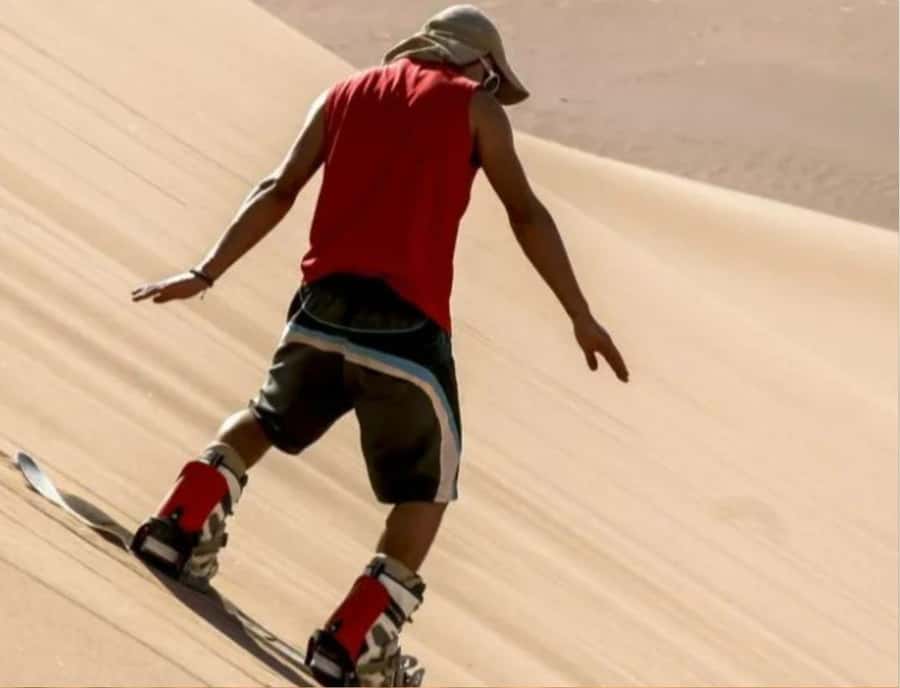 Doha: Safari, Camel Ride, Sandboarding and Inland Sea Tour - Scenic stops, tea, and photos