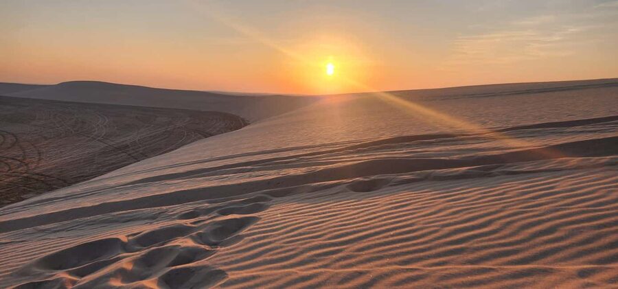 Doha: Safari, Camel Ride, Sandboarding and Inland Sea Tour - Dune bashing across the Qatari sands
