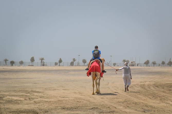 Doha: Safari, Dune bashing, Camel Ride, Sandboarding & Inland Sea - What to bring and how to prepare