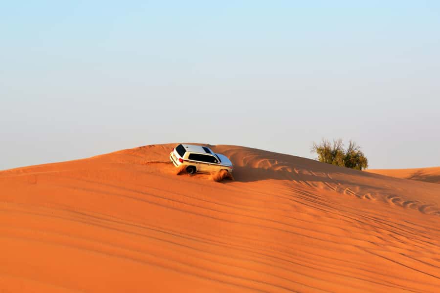 Doha:Safari Tour with Lunch/Dinner in Desert by the Sea Side - Who will enjoy this seven-hour outing
