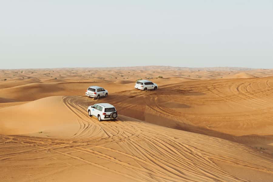 Doha:Safari Tour with Lunch/Dinner in Desert by the Sea Side - Practical advice before you book