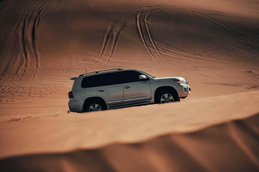 Doha:Safari Tour with Lunch/Dinner in Desert by the Sea Side - Dune bashing: exciting, not a sightseeing drive