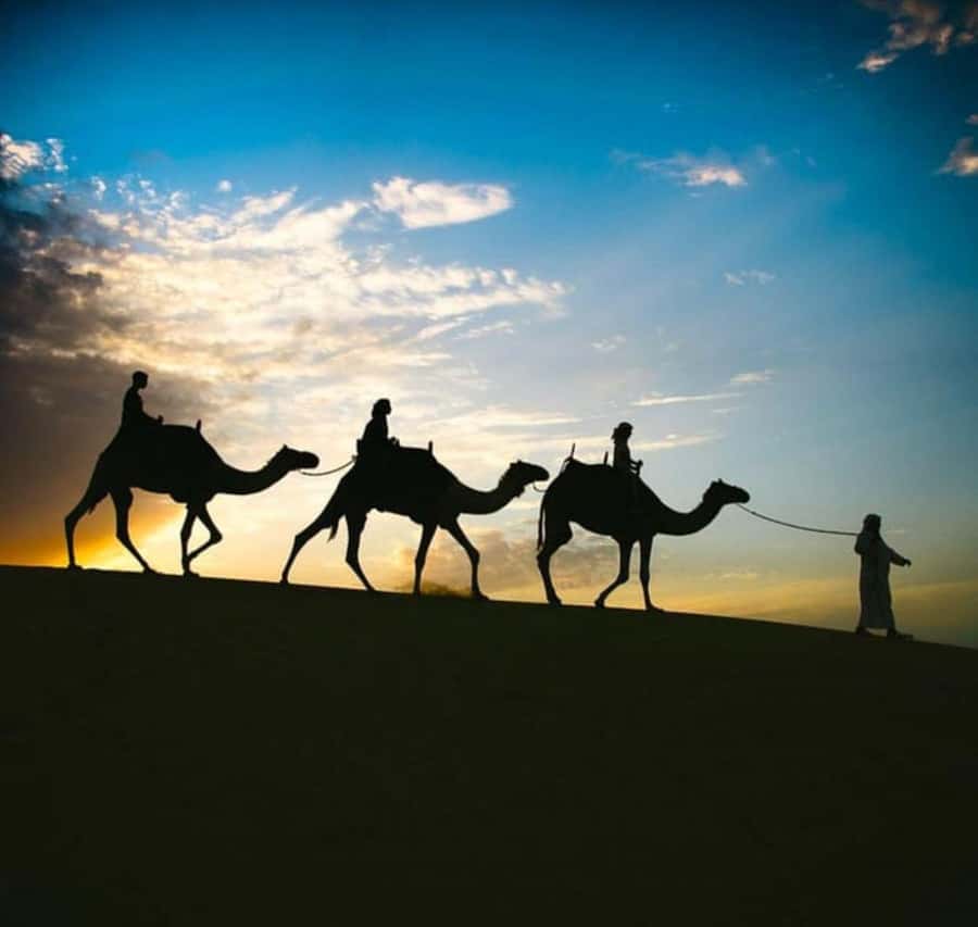 Doha: Stargazing Desert Safari w/ Dune Bashing & Camel Ride - Key points to know before you go
