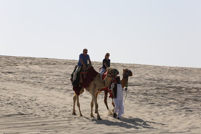 Doha; Sunrise Desert Tour and camel safari 4hrs - Who will enjoy this morning most