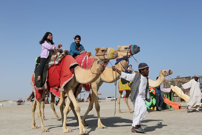 Doha; Sunrise Desert Tour and camel safari 4hrs - Booking details and cancellation rules