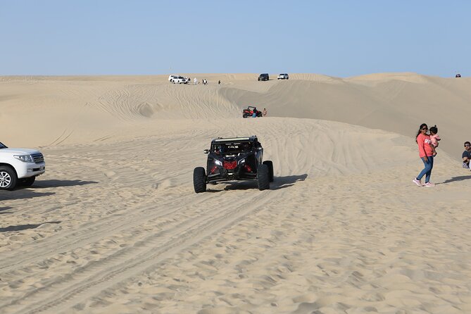 Doha; Sunrise Desert Tour and camel safari 4hrs - Camel riding, falcons, and the photo stop