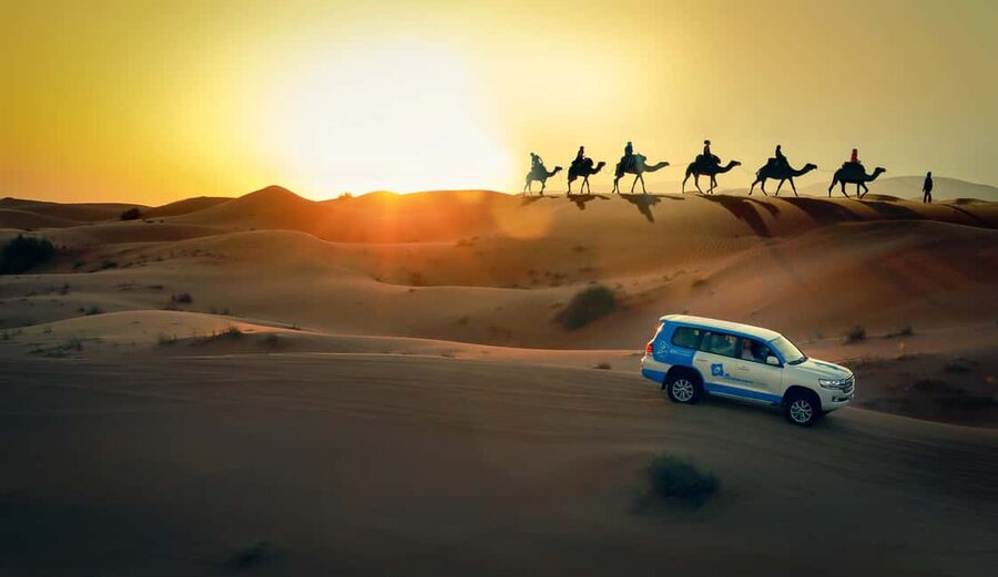 Doha: Sunset Desert Safari, ATV, Camel Ride and Sandboarding - Key points to know before you book