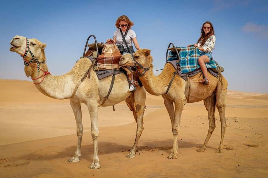 Doha: Sunset Desert Safari, ATV, Camel Ride and Sandboarding - Optional quad biking