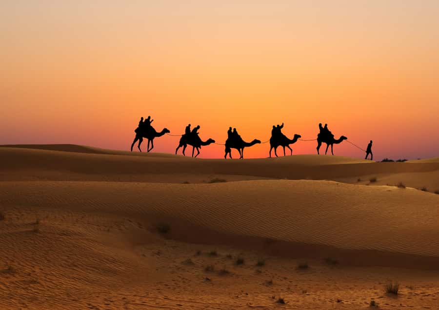 Doha: Sunset Safari, Dune Bashing, Sandboarding & Camel Ride - Sunset beside the Inland Sea
