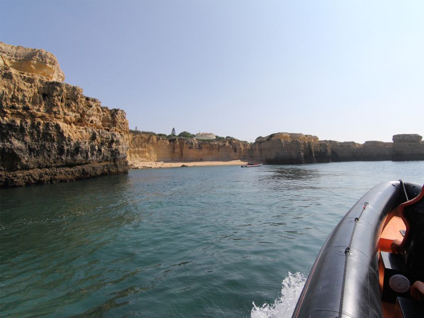 Dolphin Safari and Cave Tour in Vilamoura - Caves, beaches, and Algarve rock formations