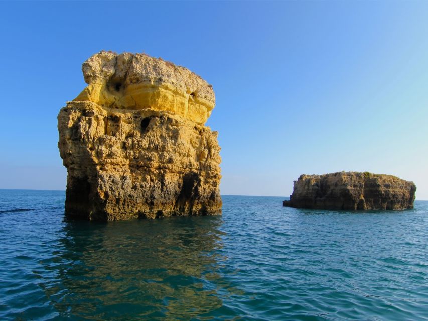 Dolphin Safari and Cave Tour in Vilamoura - Who will enjoy this Vilamoura trip most?