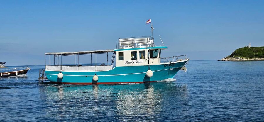 Dolphin Safari Boat Trip from Marina Funtana - Key points at a glance