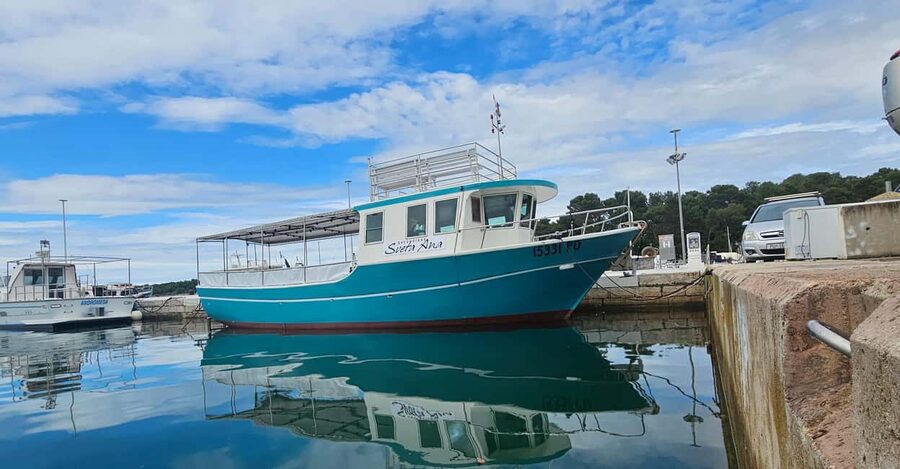 Dolphin Safari Boat Trip from Marina Funtana - What is served on board