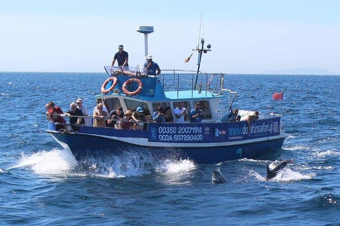 Dolphin Watching in Gibraltar Dolphin Safari V.I.P - The Rock, Spain, and Africa in one view