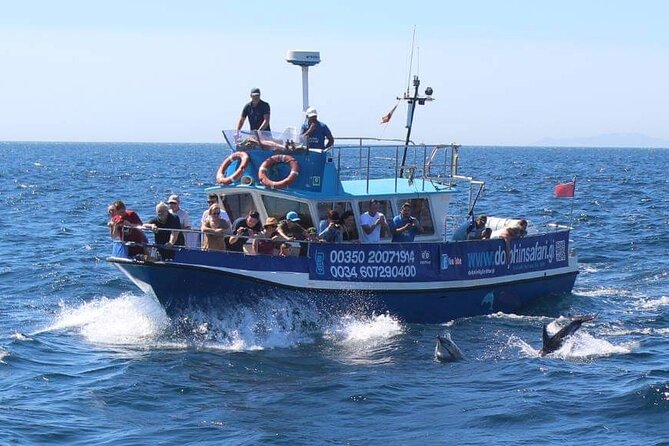 Dolphin Watching in Gibraltar Dolphin Safari V.I.P - Who will enjoy this most