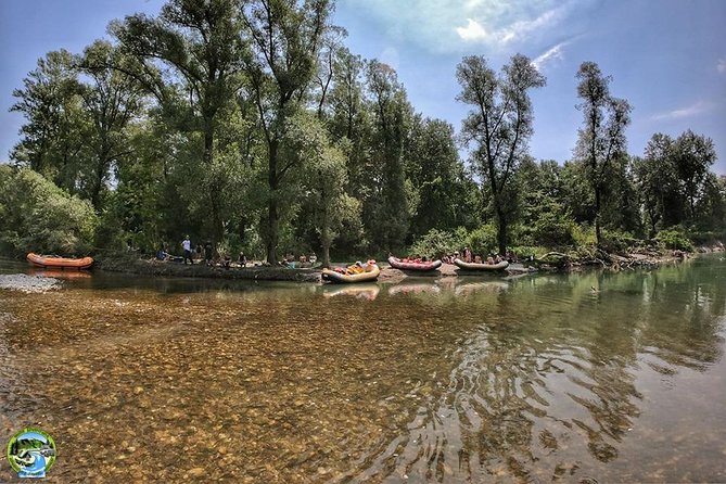 Drava Rafting Safari - Drava forest: the main attraction