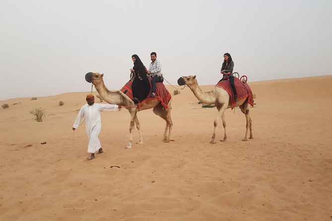 Dubai 4x4 Desert Safari, Quad Bike, Camel Ride & BBQ Dinner - Dinner, soft drinks, and the evening shows