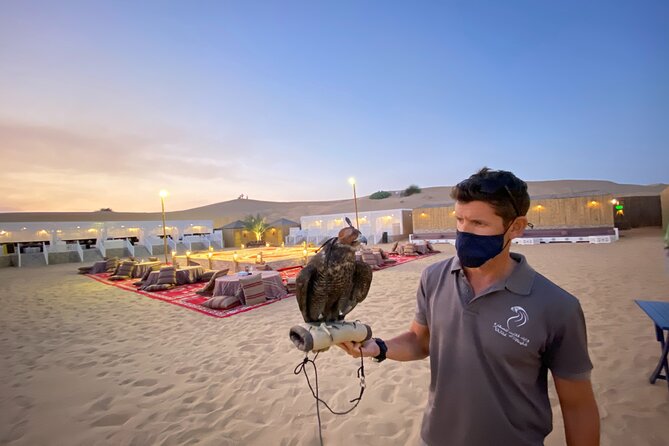 Dubai Afternoon Desert Safari and BBQ Dinner - Camel rides and sand boarding