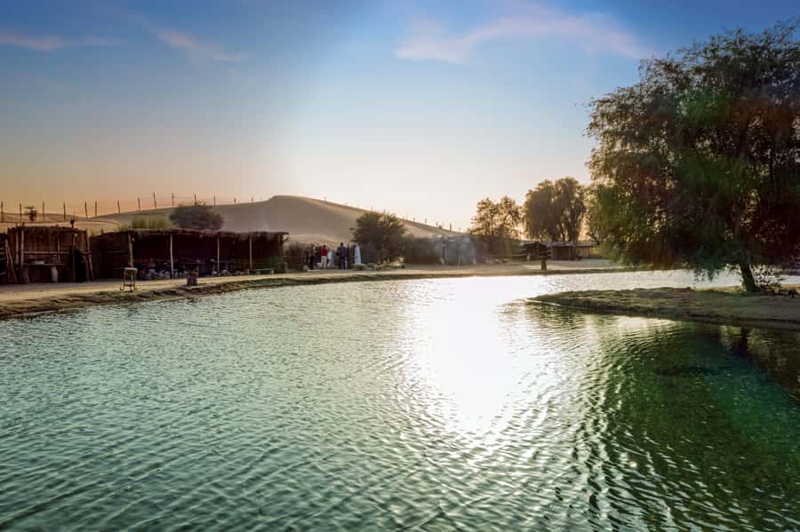 Dubai: Al Marmoom Oasis Safari, Animal Spotting & Breakfast - What the $134 price means in practice