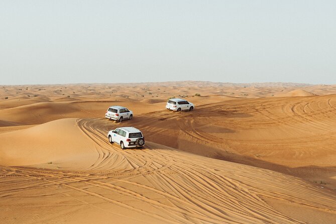 Dubai Buggy Tour in red sands and Desert Safari - Is $250 per person good value?