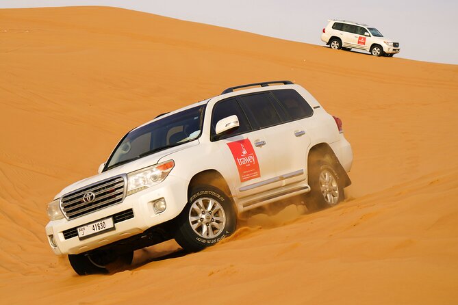 Dubai Buggy Tour in red sands and Desert Safari - Who will enjoy this tour most