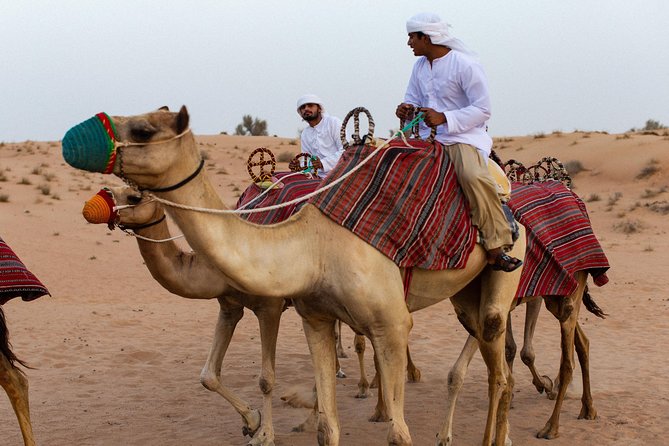 Dubai Camel Desert Safari, Traditional Meal & Heritage Activities - Falconry at the best light of the day