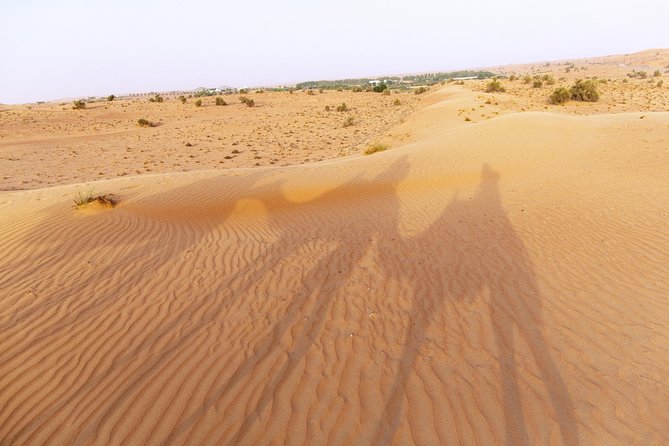 Dubai Camel Desert Safari, Traditional Meal & Heritage Activities - Getting ready at the desert reserve