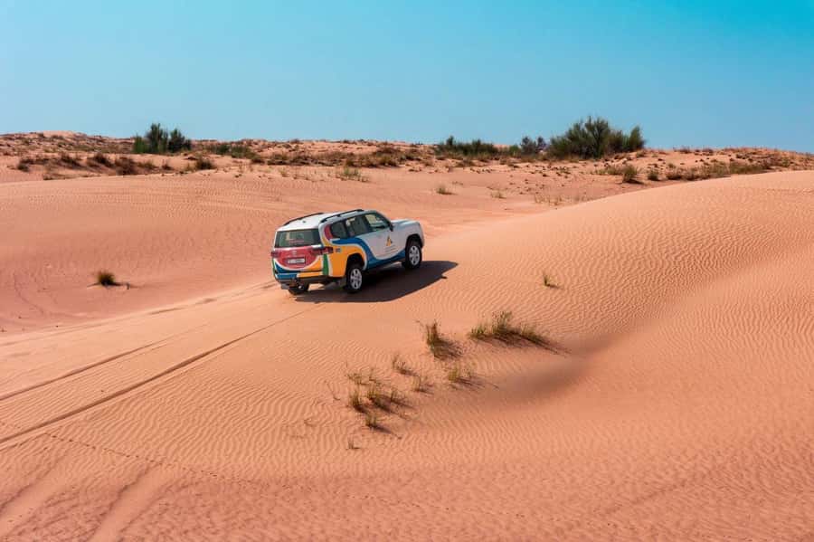 Dubai: Camel Safari, Wildlife & Lakeside Breakfast - A quiet start in the Arabian Desert