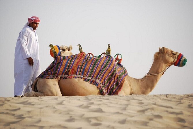 Dubai City Tour and Evening Desert Safari Combo - Dinner at Al Khayma Camp
