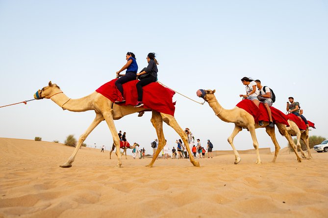 Dubai Combo:City Tour and Premium Desert Safari with all Activities - Two days that show Dubai from two angles